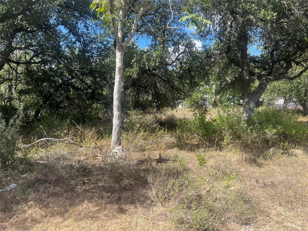 542 Flintstone Drive Canyon Lake, TX 78133