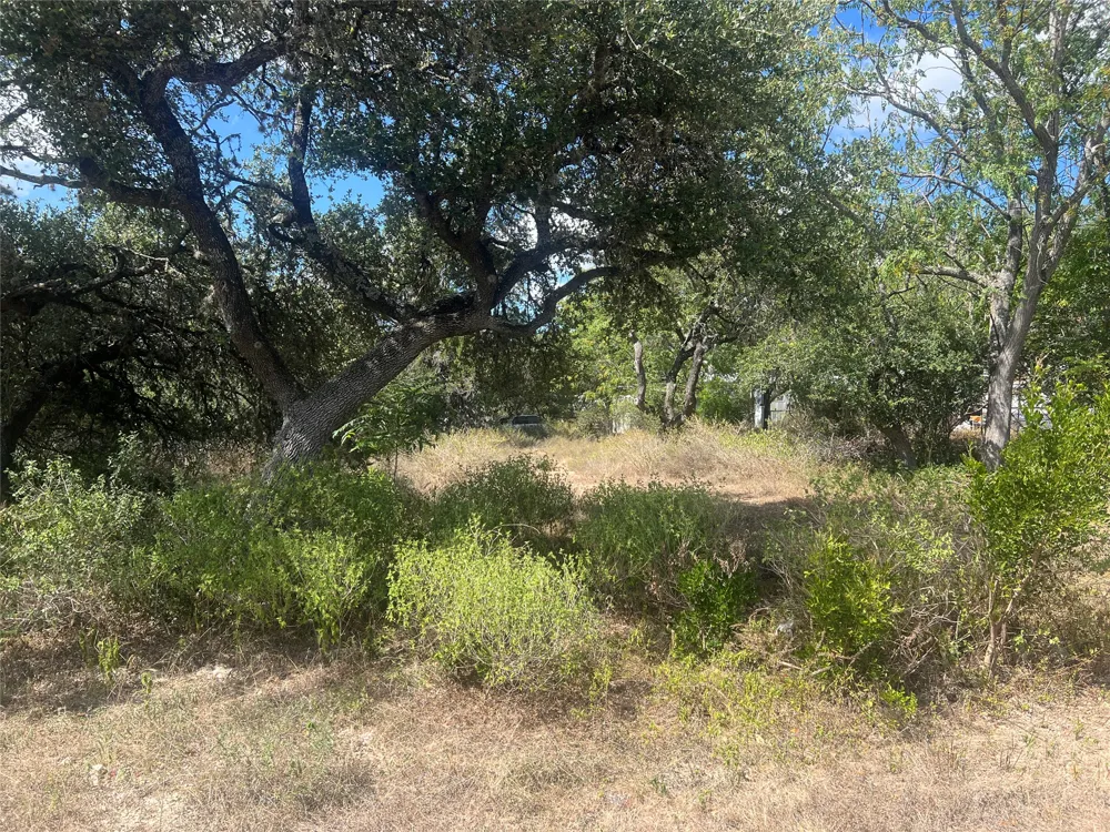 542 Flintstone Drive Canyon Lake, TX 78133