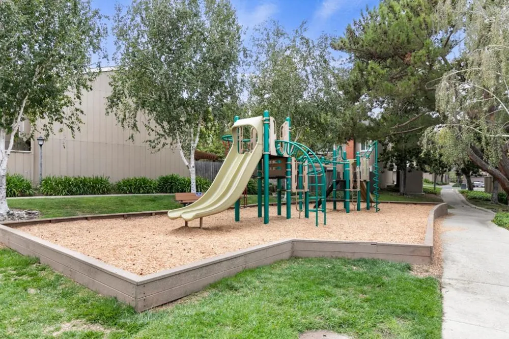 22990 Cricket Hill Road Cupertino, CA 95014