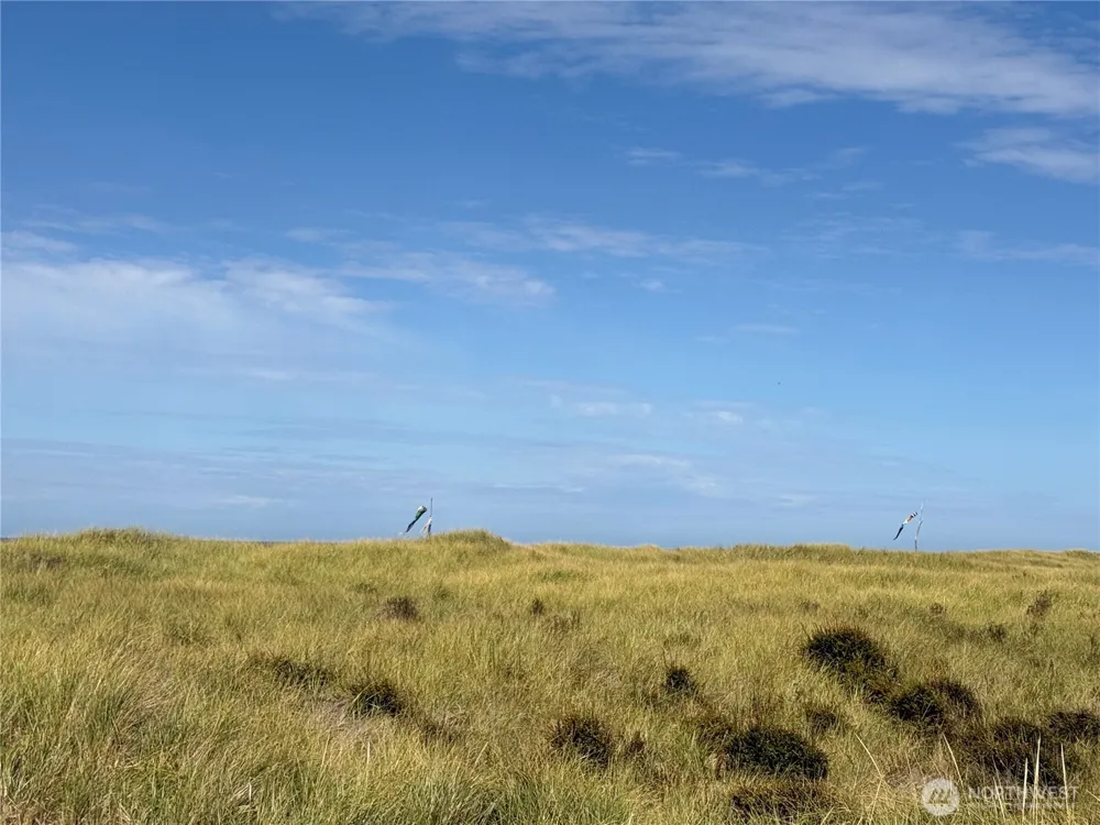 1317 Ocean Shores Boulevard SW #2 Ocean Shores, WA 98569