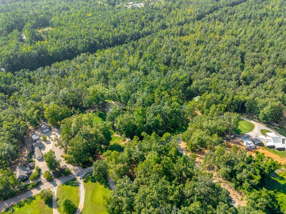 60 Hadley Way Counce, TN 38326