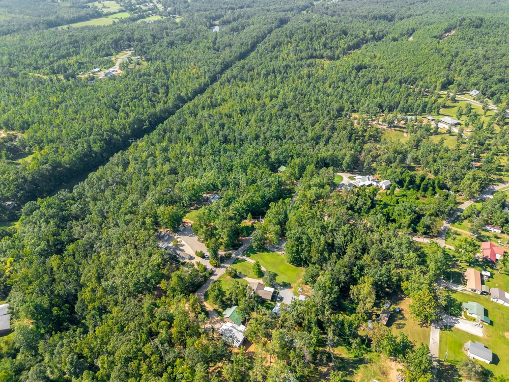 60 Hadley Way Counce, TN 38326