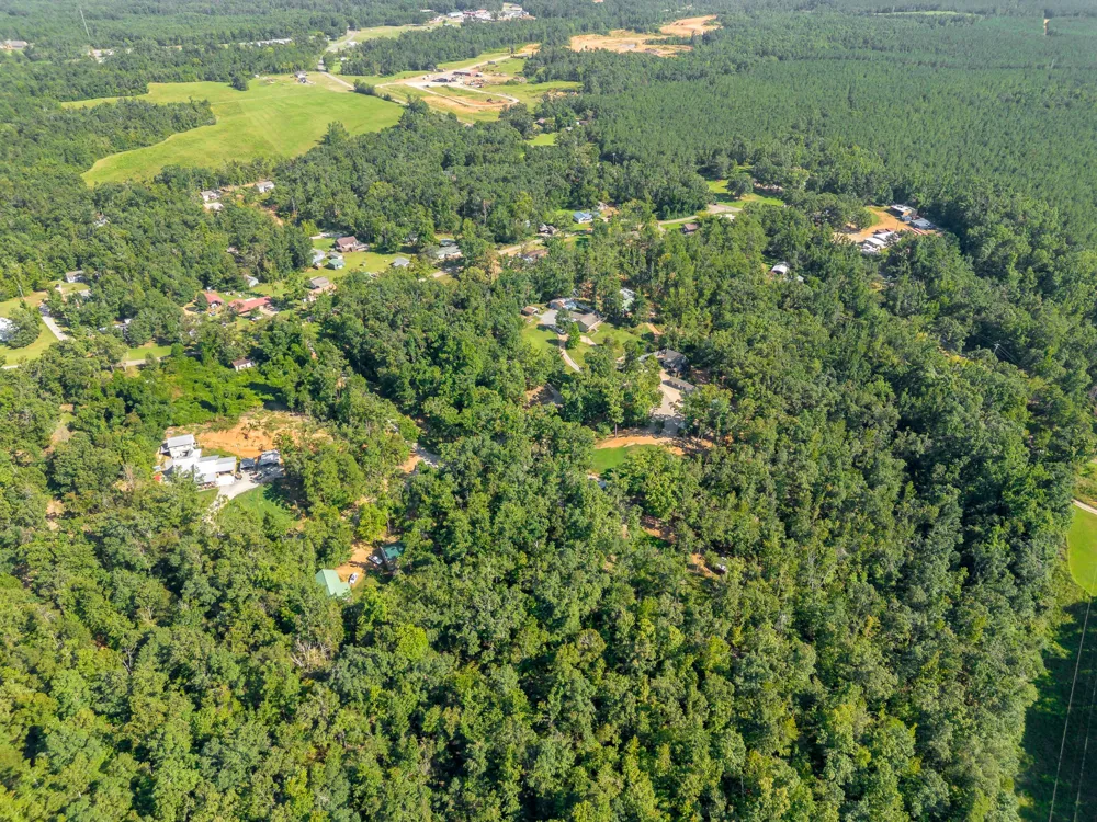60 Hadley Way Counce, TN 38326