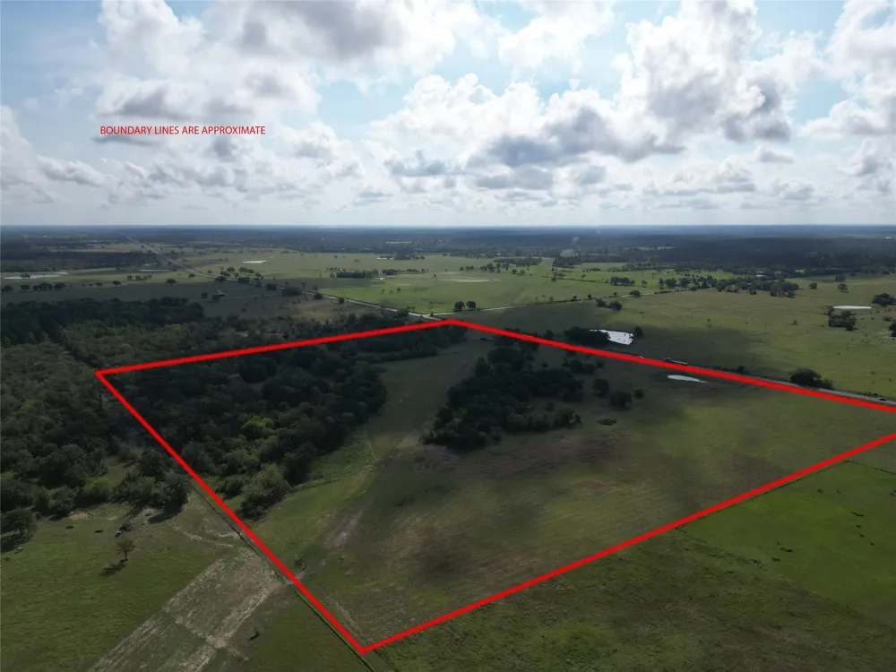 23373 Highway 30 Bedias, TX 77831
