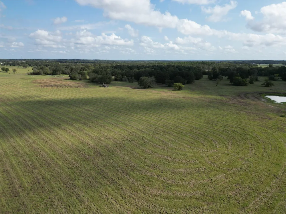 23373 Highway 30 Bedias, TX 77831