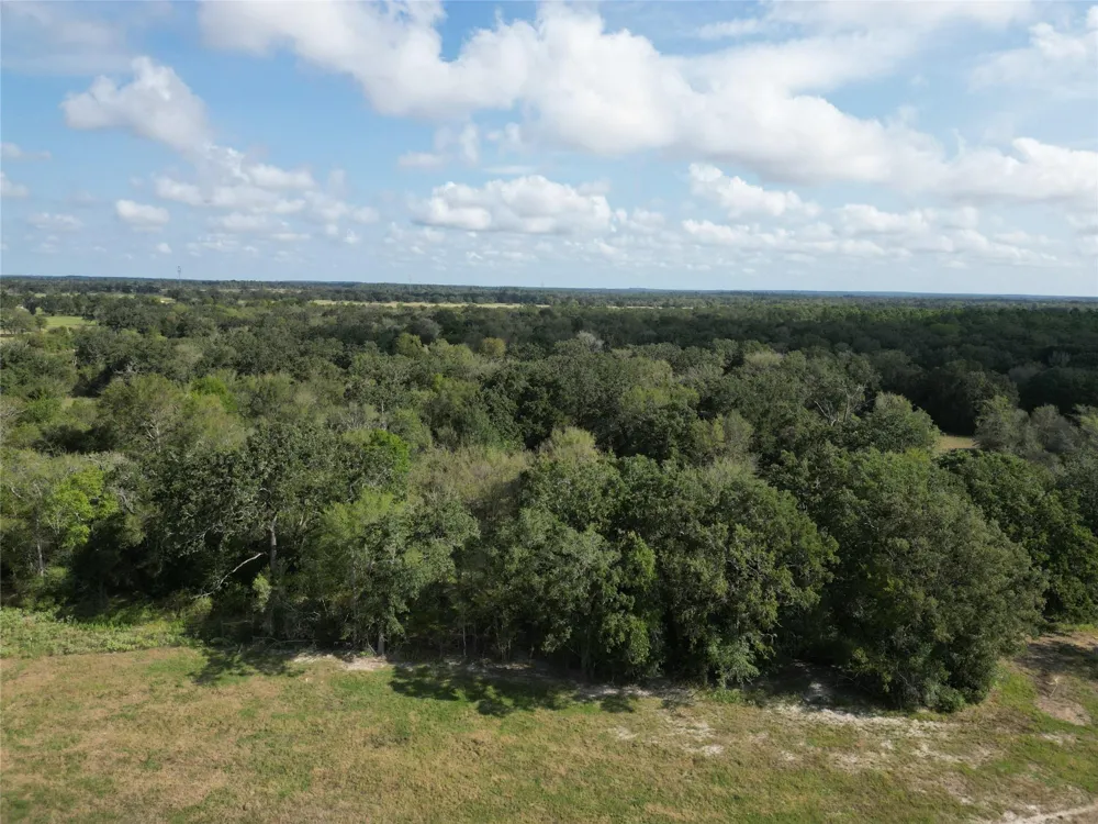 23373 Highway 30 Bedias, TX 77831