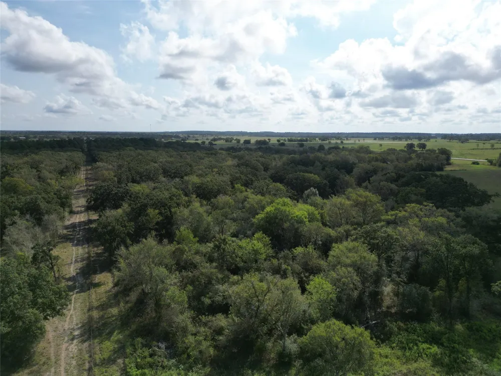 23373 Highway 30 Bedias, TX 77831