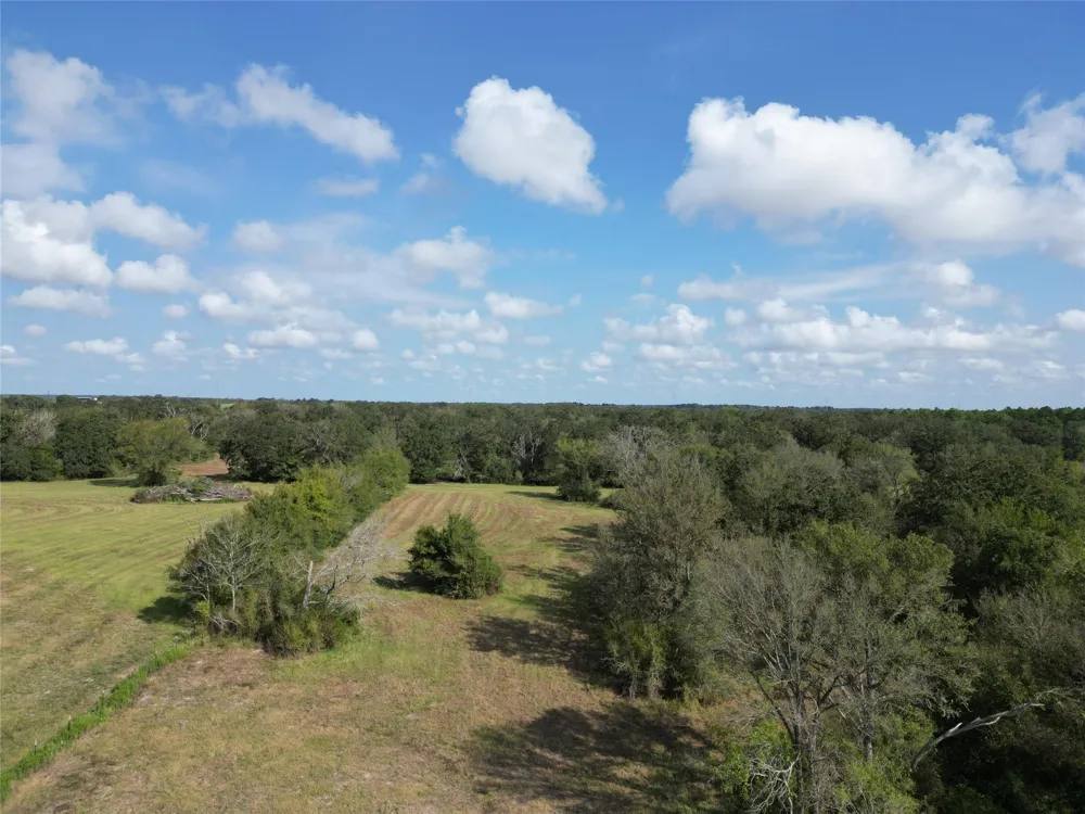 23373 Highway 30 Bedias, TX 77831