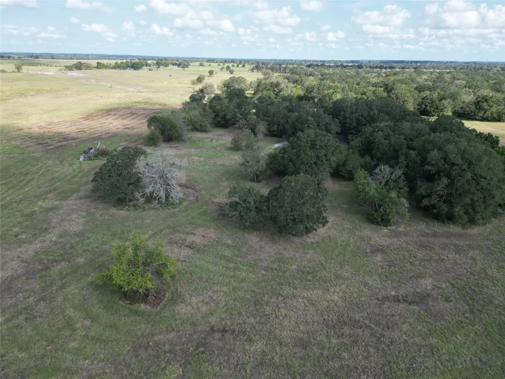 23373 Highway 30 Bedias, TX 77831