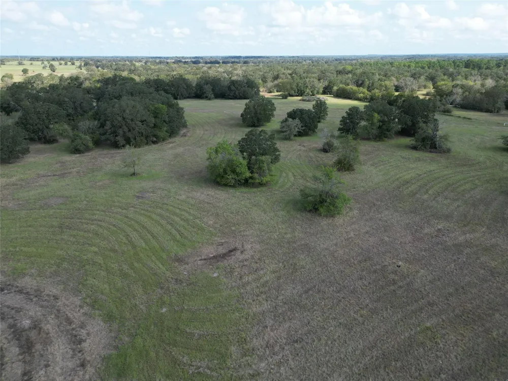 23373 Highway 30 Bedias, TX 77831