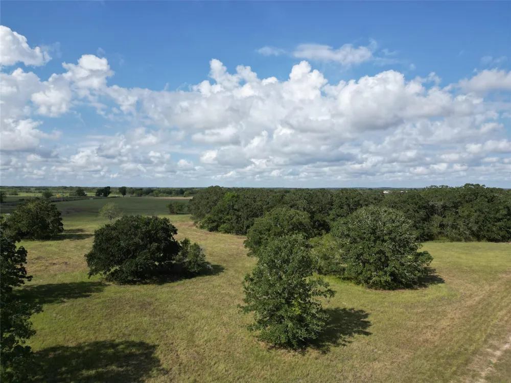 23373 Highway 30 Bedias, TX 77831