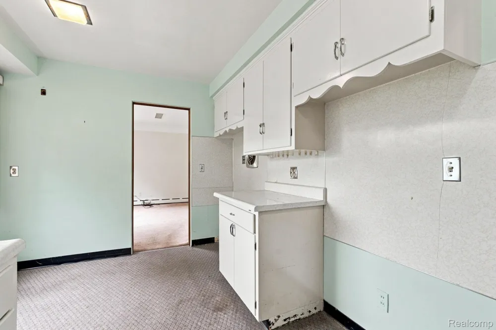 245 Anderson Avenue Croswell City, MI 48422