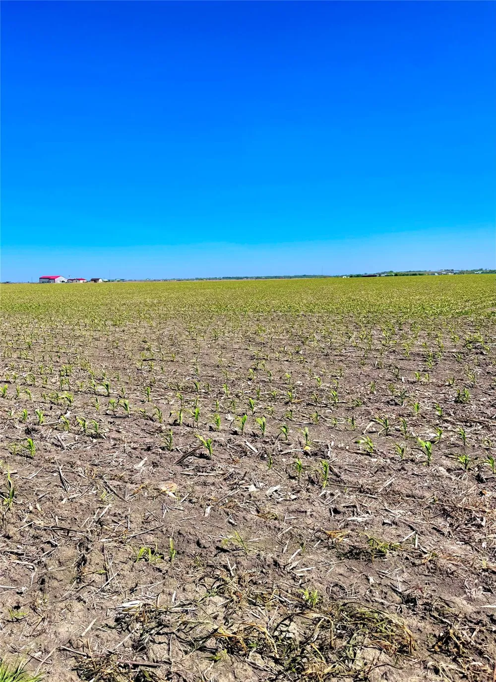 4 Lund Carlson Road Coupland, TX 78615