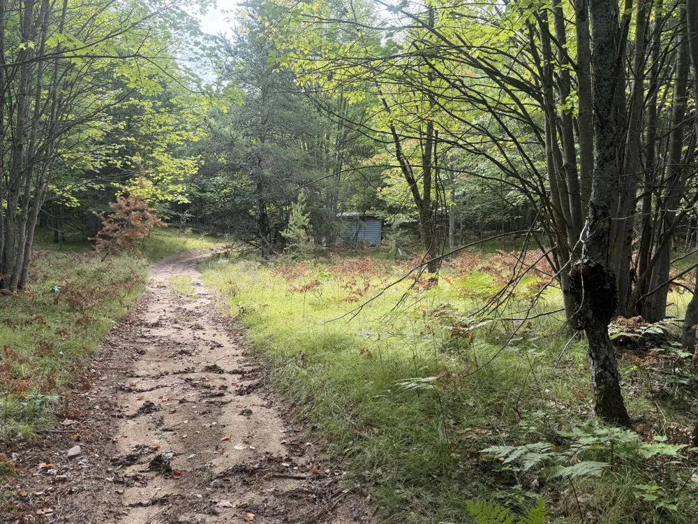 2122 Mieras Road Irons, MI 49644
