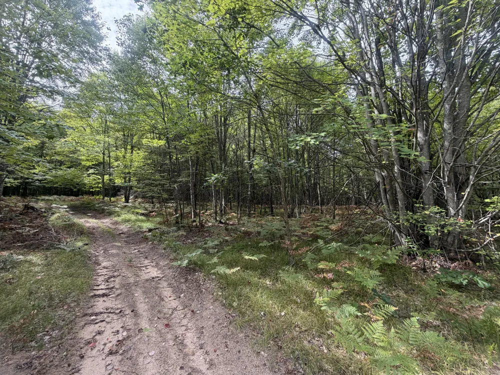 2122 Mieras Road Irons, MI 49644