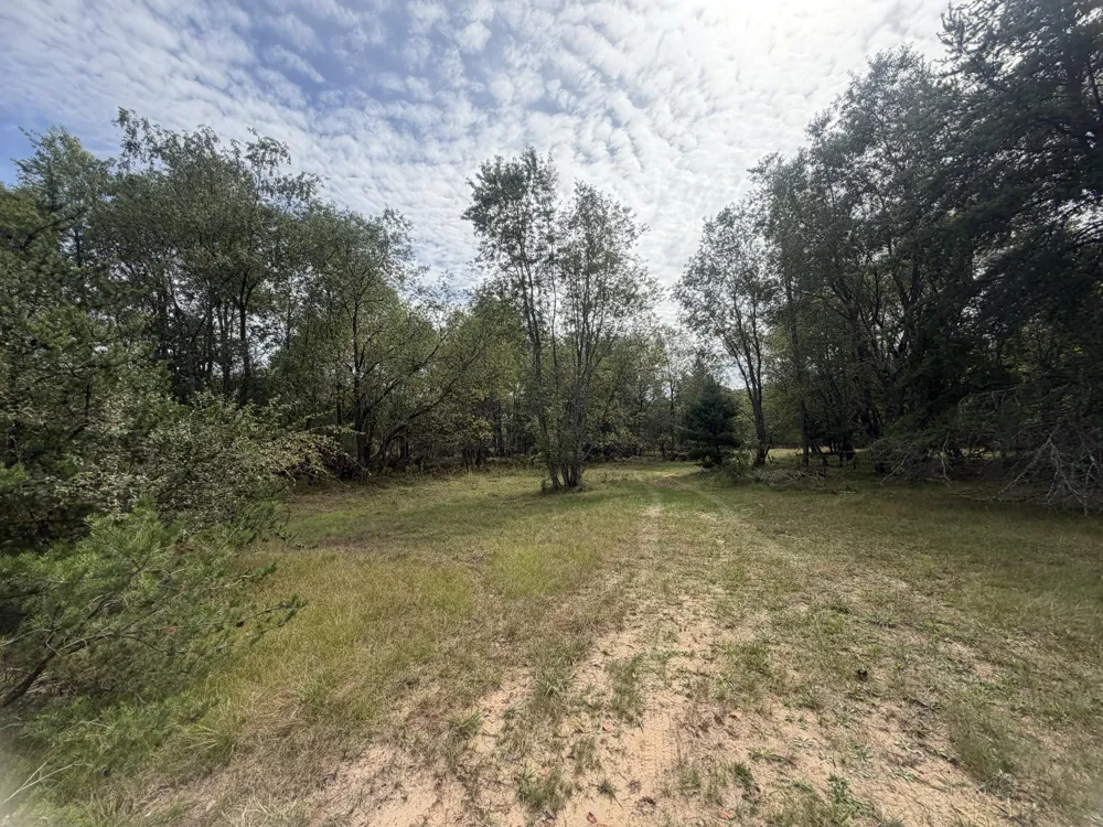 2122 Mieras Road Irons, MI 49644