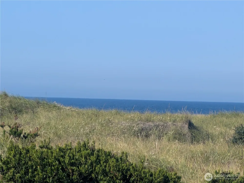 33211 G STREET Ocean Park, WA 98640