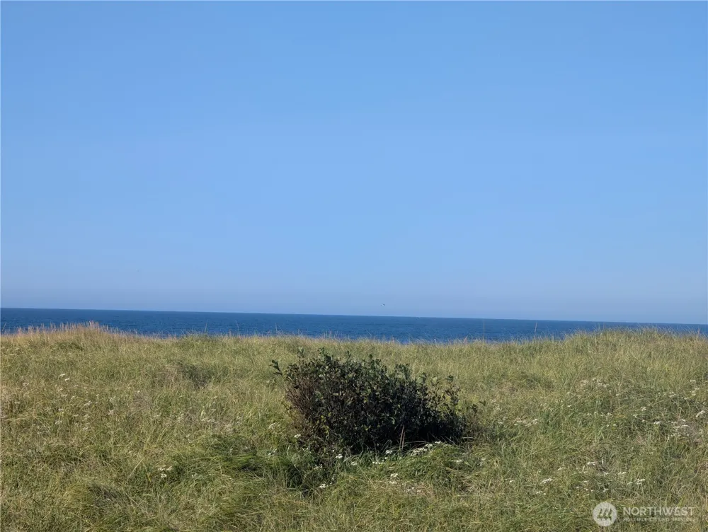 33211 G STREET Ocean Park, WA 98640