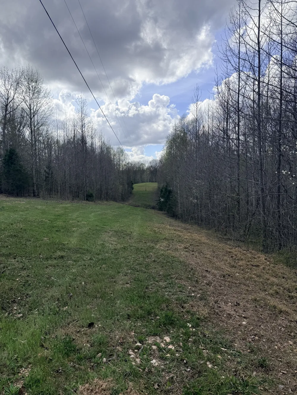 0 Sugar Tree Knob Rd Liberty, TN 37095