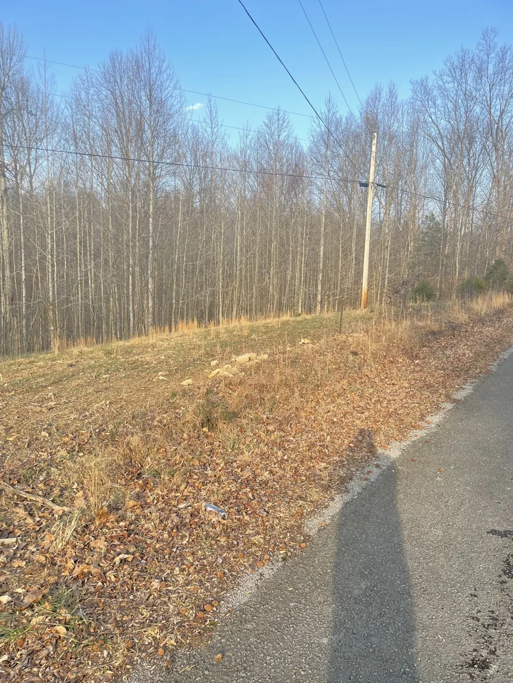 0 Sugar Tree Knob Rd Liberty, TN 37095