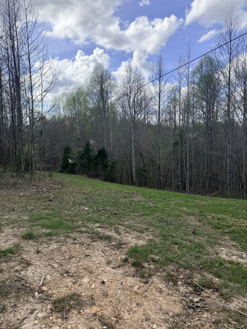 0 Sugar Tree Knob Rd Liberty, TN 37095