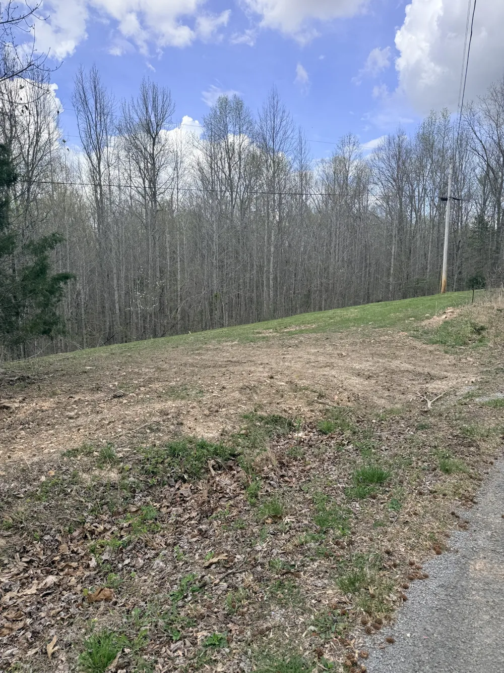 0 Sugar Tree Knob Rd Liberty, TN 37095