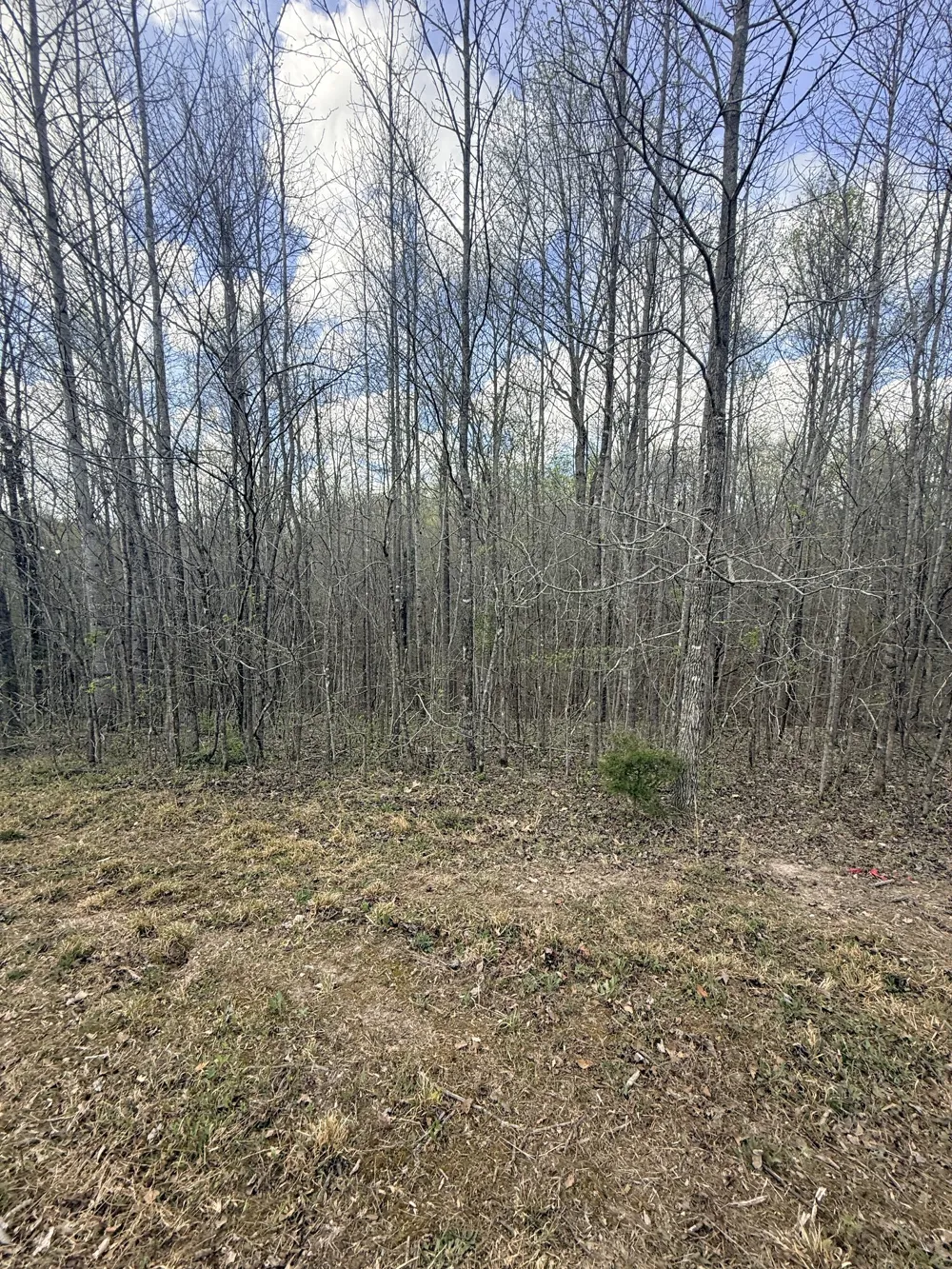 0 Sugar Tree Knob Rd Liberty, TN 37095