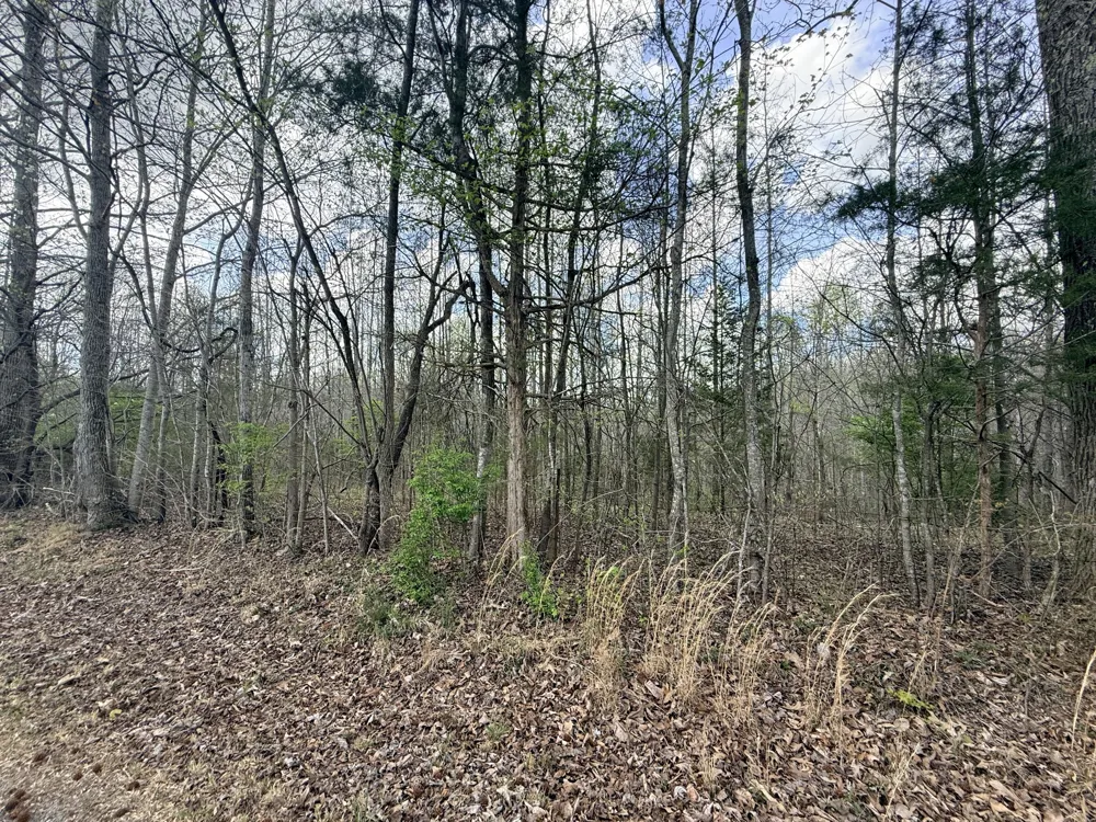0 Sugar Tree Knob Rd Liberty, TN 37095