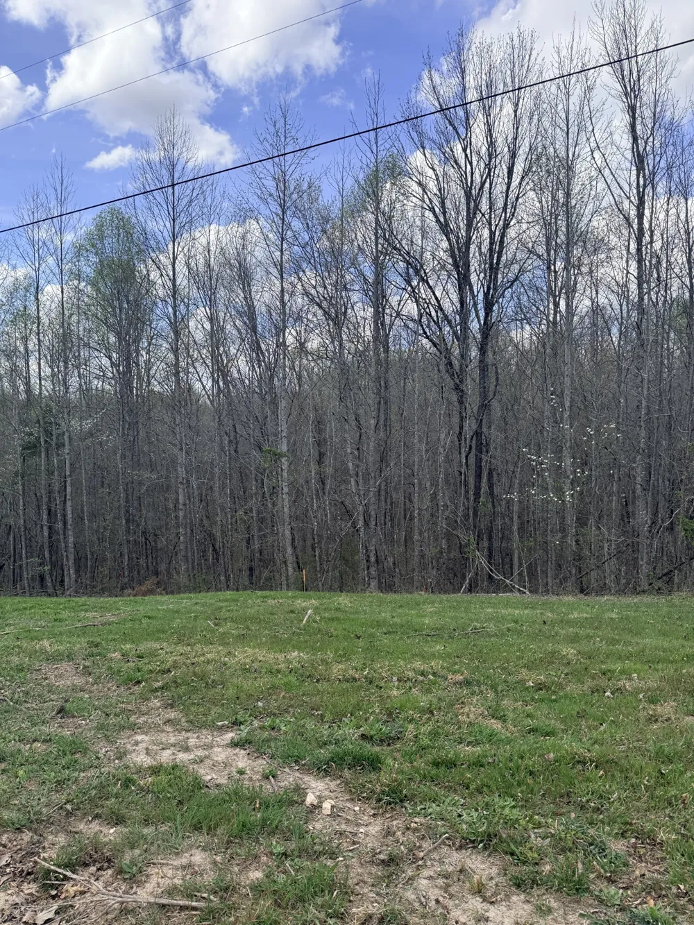 0 Sugar Tree Knob Rd Liberty, TN 37095