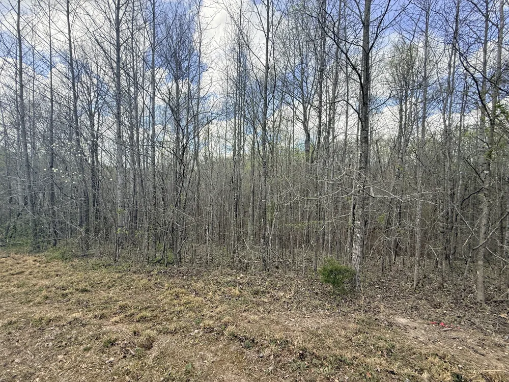 0 Sugar Tree Knob Rd Liberty, TN 37095
