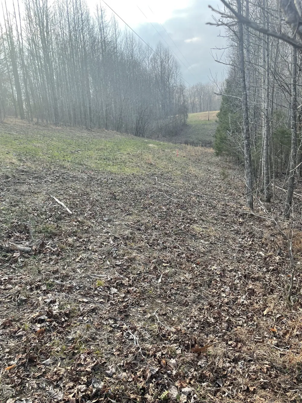 0 Sugar Tree Knob Rd Liberty, TN 37095