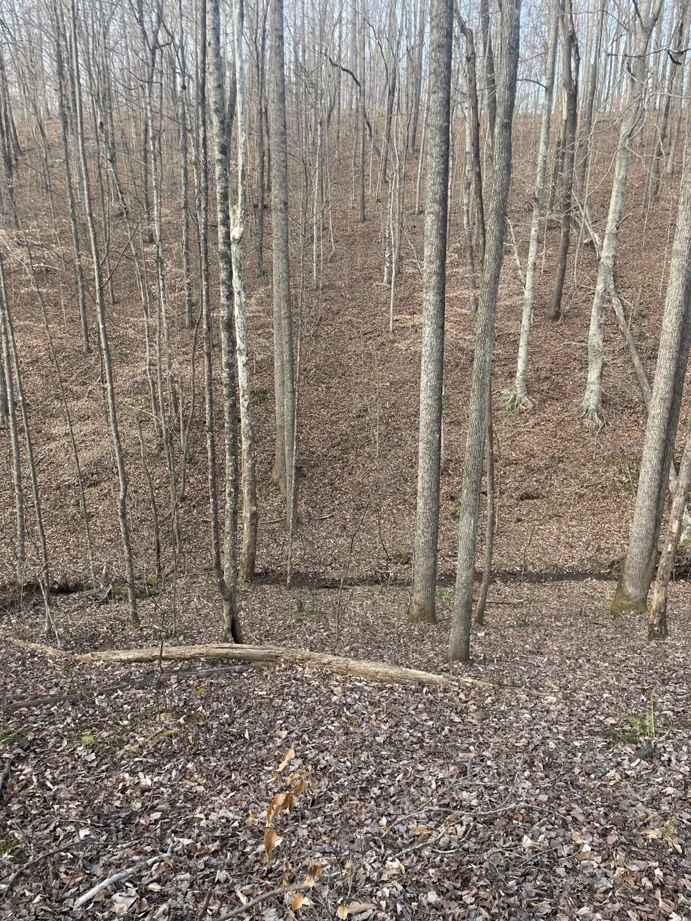 0 Sugar Tree Knob Rd Liberty, TN 37095