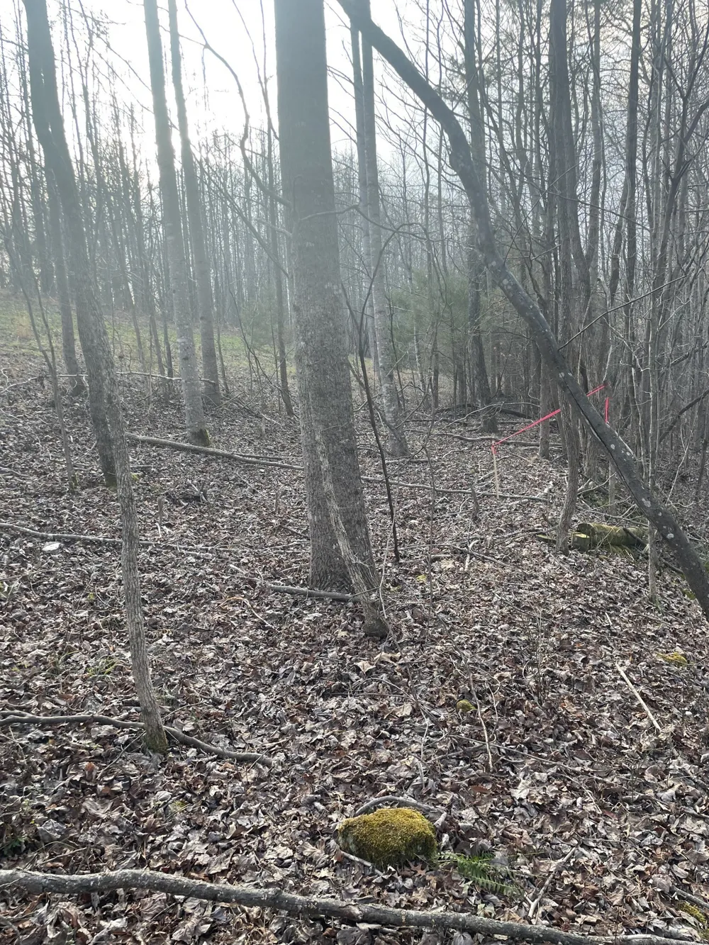 0 Sugar Tree Knob Rd Liberty, TN 37095