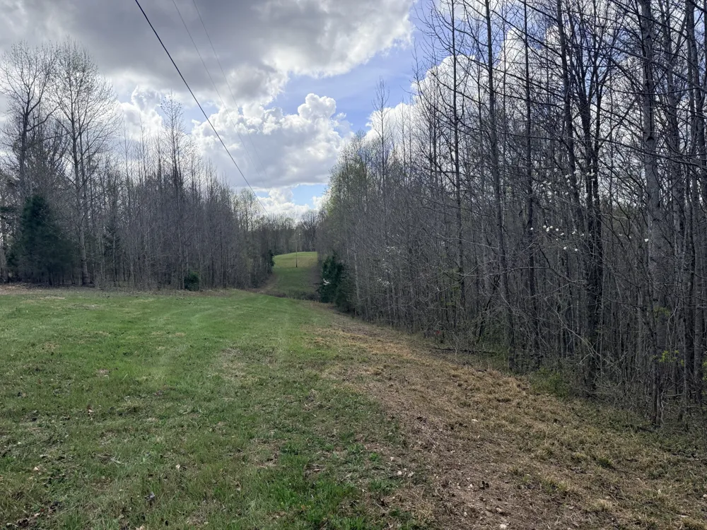 0 Sugar Tree Knob Rd Liberty, TN 37095