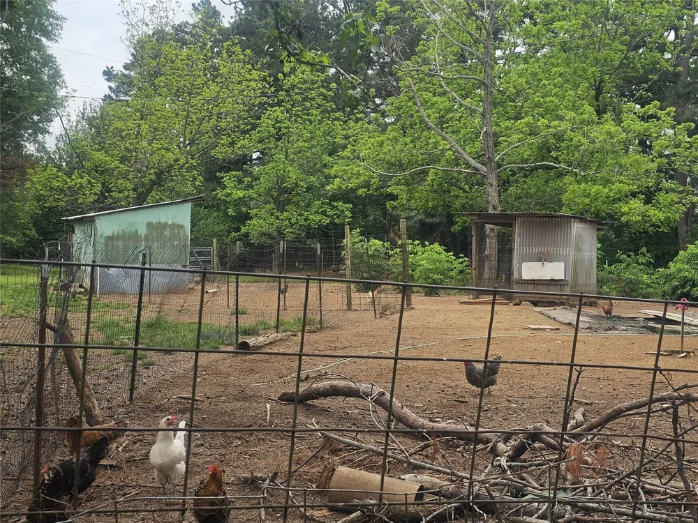 1350 County Road 45400 Paris, TX 75462