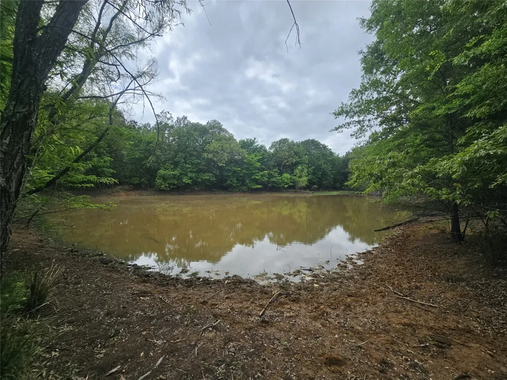 1350 County Road 45400 Paris, TX 75462