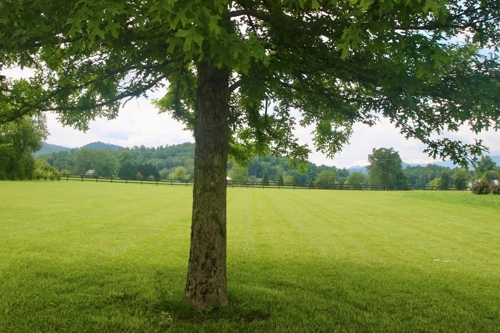 Lot 18 Bell Creek Cove Road Hiawassee, GA 30546