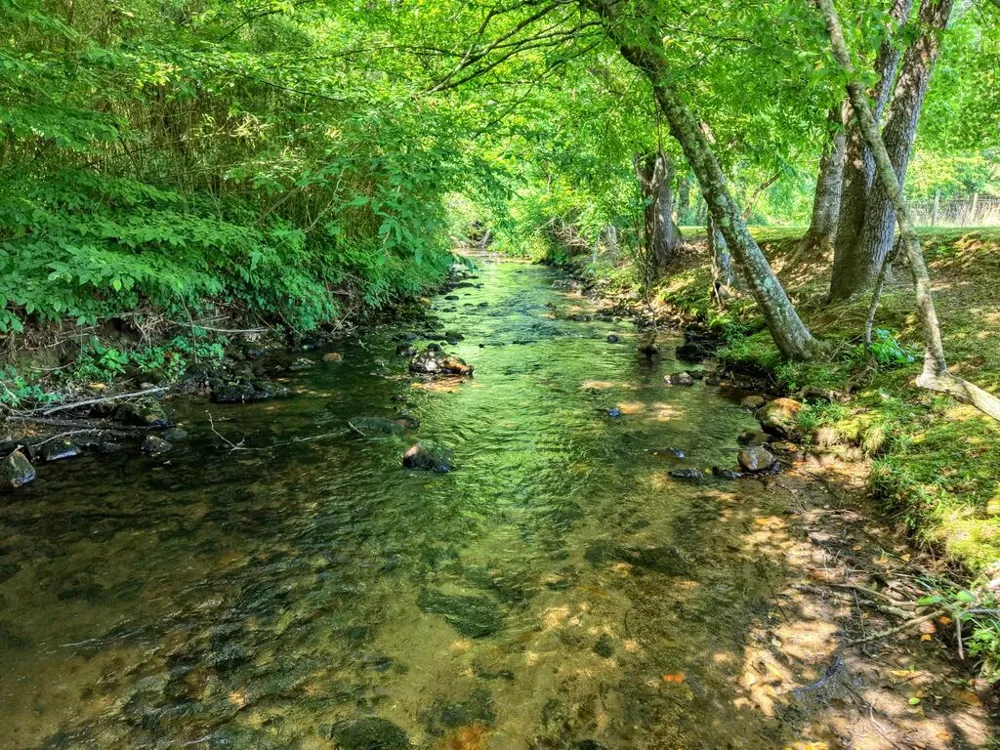 142 Mosley Lane Blairsville, GA 30512