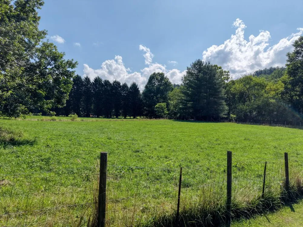 142 Mosley Lane Blairsville, GA 30512
