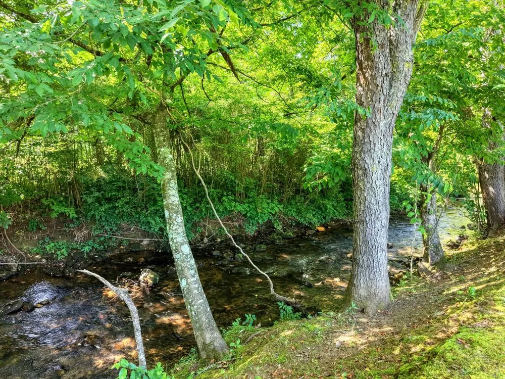 142 Mosley Lane Blairsville, GA 30512