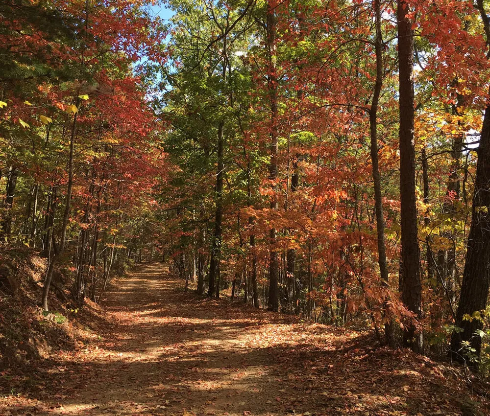 416 Autumn Hills Drive Morganton, GA 30560