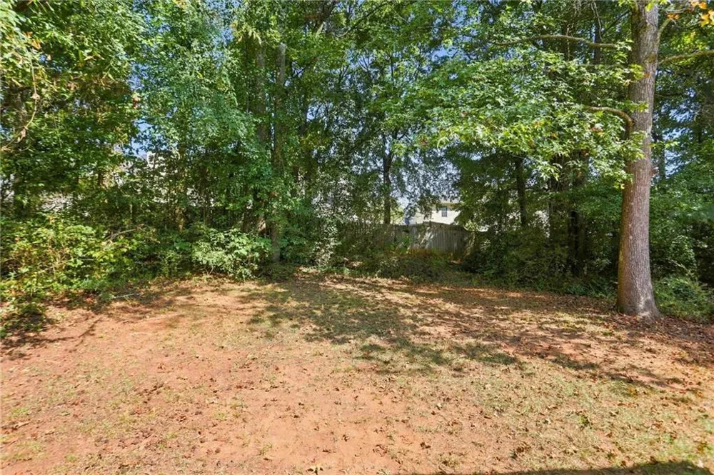 1586 Elizabeth Lane Hampton, GA 30228