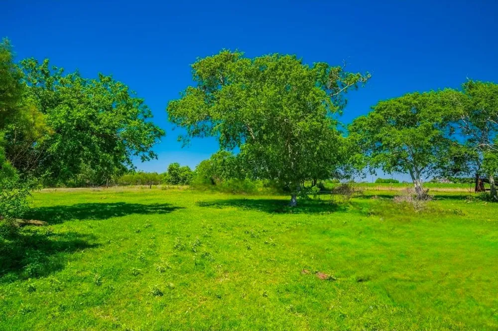 Park Rd Port Lavaca, TX 77979