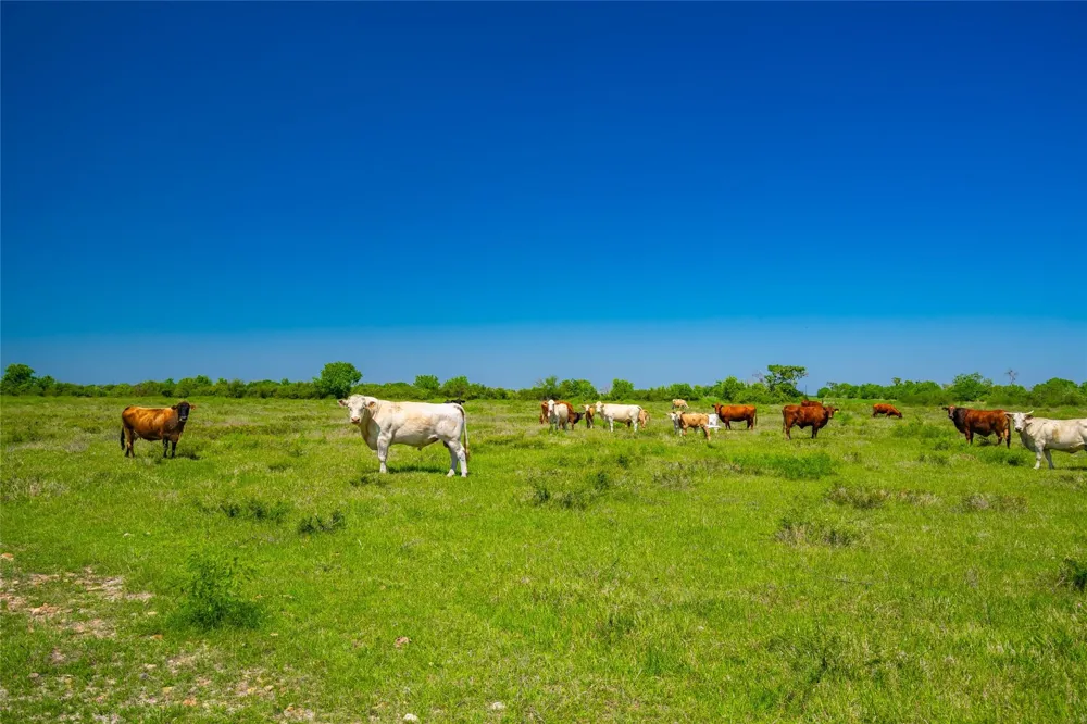 Park Rd Port Lavaca, TX 77979