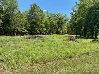 Wilderness Road
