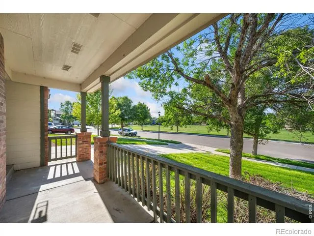 1596 Angora Drive Loveland, CO 80537