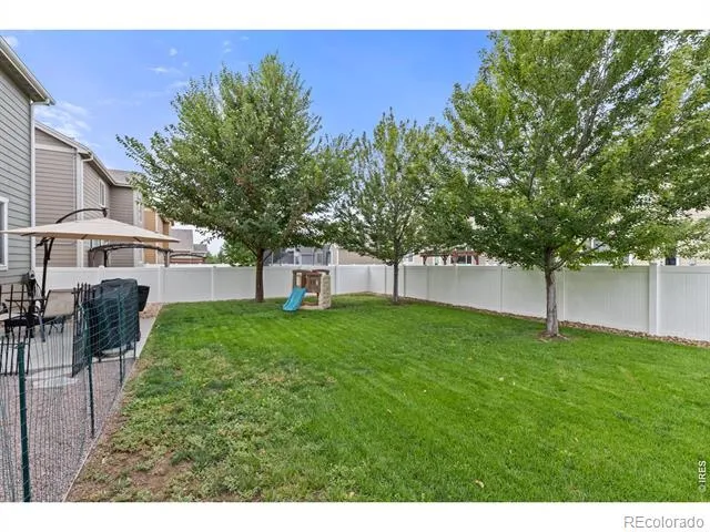 3211 San Carlo Avenue Evans, CO 80620