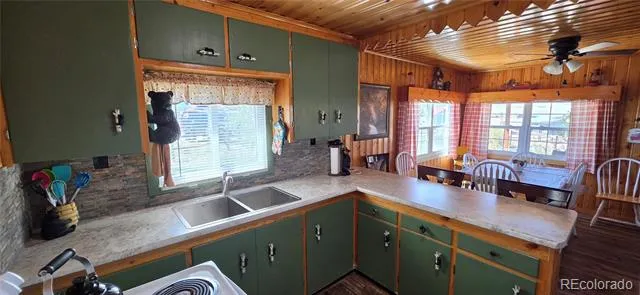 76 Vista Drive Westcliffe, CO 81252