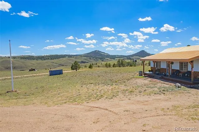 8591 Black Beaver Road Hartsel, CO 80449