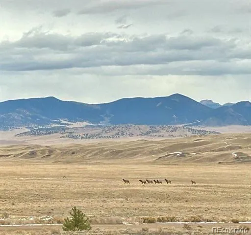 8591 Black Beaver Road Hartsel, CO 80449